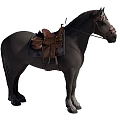 Black Horse With Leather Saddle And Traditional Riding Harness Equipment