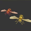 Two Realistic Bees With Yellow Black Striped Body And Transparent Wings
