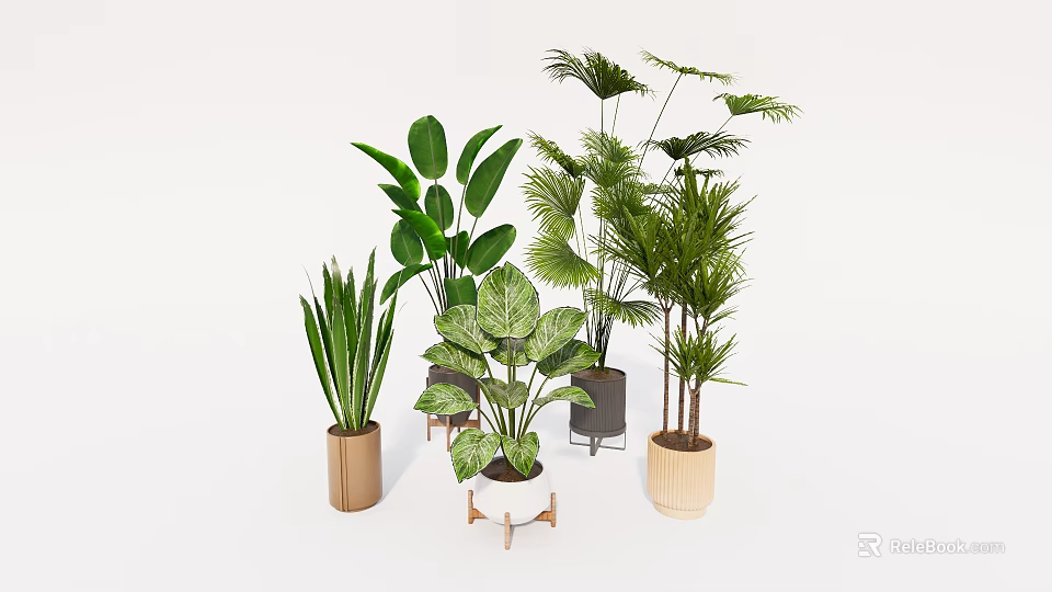 Various Types of Indoor Potted Plants with Different Style Pots and Green Foliage 3d model 