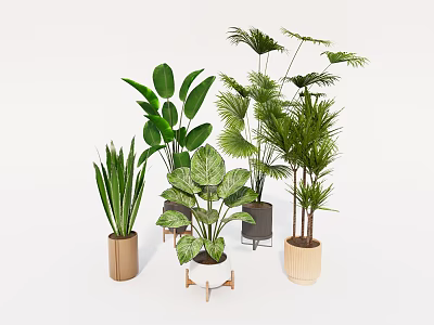 Various Types of Indoor Potted Plants with Different Style Pots and Green Foliage 3d model