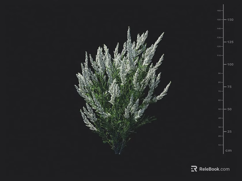 White Flowering Shrub With Lush Green Foliage For Garden Landscape Design 3d model 