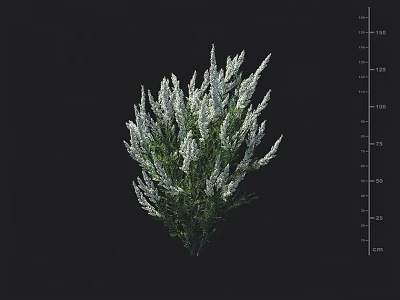 White Flowering Shrub With Lush Green Foliage For Garden Landscape Design 3d model