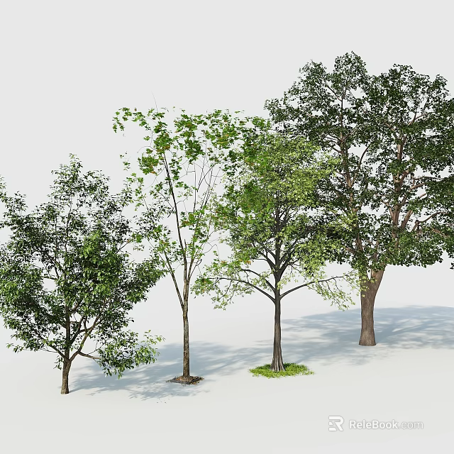 Tree Pit Landscaping With Various Trees And Lush Green Foliage Design 3d model