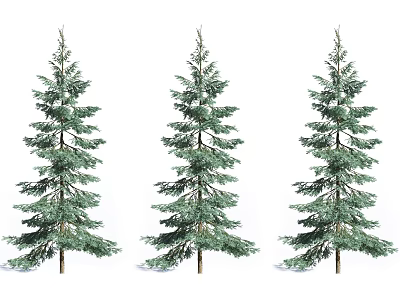Three Tall Arbor Trees With Lush Green Foliage And Upright Trunks 3d model