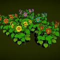 Vibrant Flower Plants With Colorful Blooms Including Yellow Purple Red And Green Leaves