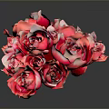 Red Roses Bouquet in Arc Shape for Decorative Living Space with Dark Background Reflection