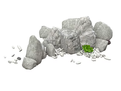 Natural Stone Arrangement With Small Pebbles And Green Succulent Plant 3d model