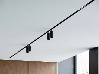 Modern Black Track Downlights Spotlights Installed On White Ceiling With Wooden Cabinets And Window 3d model