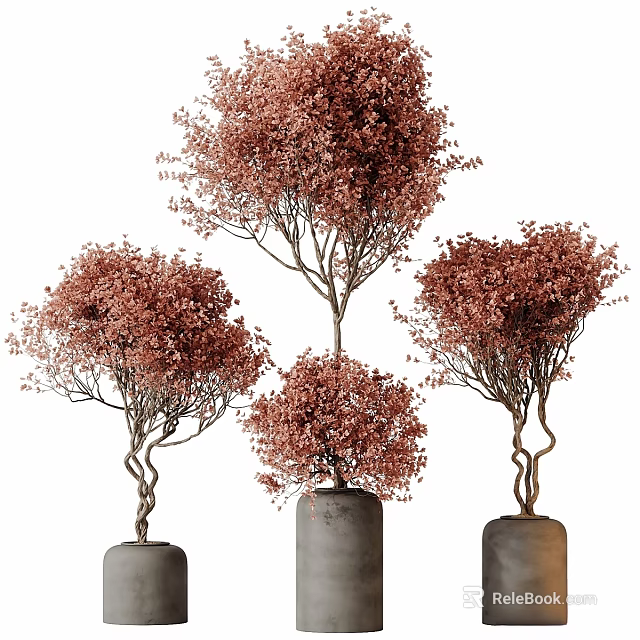 Garden Decor Featuring Trees With Red Blooms And Twisted Trunks In Gray Cylindrical Planters 3d model 