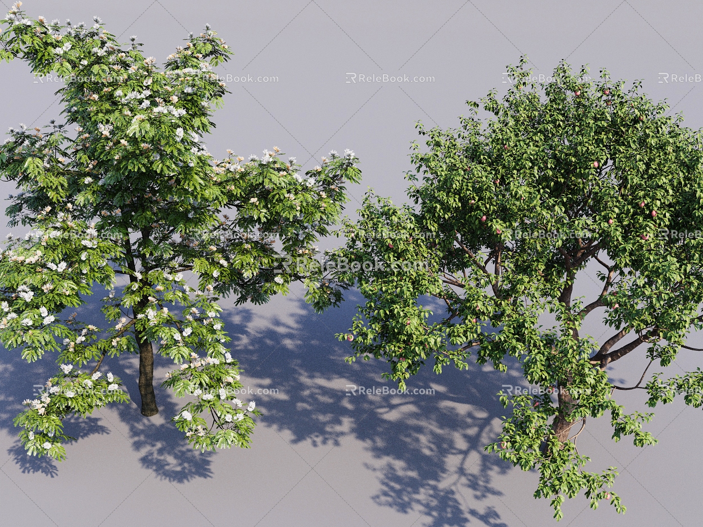 Big tree tree landscape tree sketch big tree courtyard tree 3d model