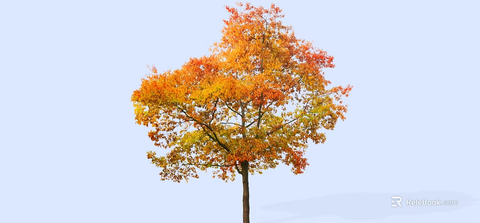 Vibrant Autumn Arbor With Orange Yellow Leaves Against Clear Blue Sky 3d model 