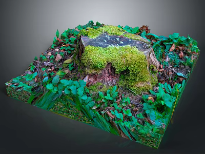 Natural Wooden Stump Covered with Moss and Surrounded by Green Leaves and Fallen Leaves 3d model