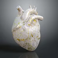 Medical Device 3D Anatomical Heart Model With White And Gold Texture And Structural Details