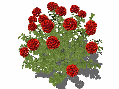 Vibrant Red Flowers With Abundant Green Leaves In Lush Garden Cluster 3d model