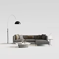 Modern Grey Multi seat Sofa Interior With Floor Lamp Coffee Table And Throw Pillows 3d model