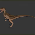 3D Velociraptor Dinosaur Character Model Standing With Open Mouth Sharp Teeth Brown Stripes 3d model