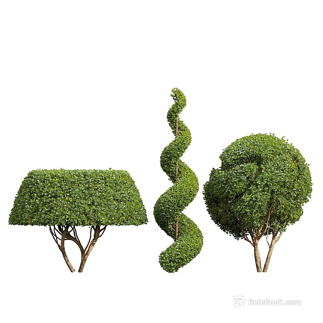 Different Shaped Topiary Trees With Flat Top Spiral And Rounded Forms For Landscaping 3d model