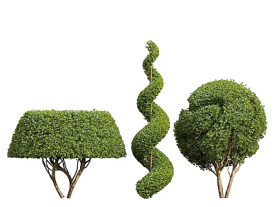 Different Shaped Topiary Trees With Flat Top Spiral And Rounded Forms For Landscaping 3d model