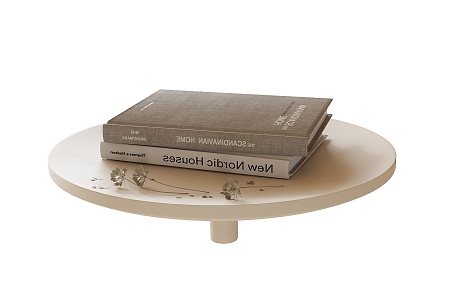 Modern Books 3d model