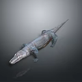 Realistic Gray Crocodile with Scaly Texture on Gradient Gray Background and Reflection 3d model