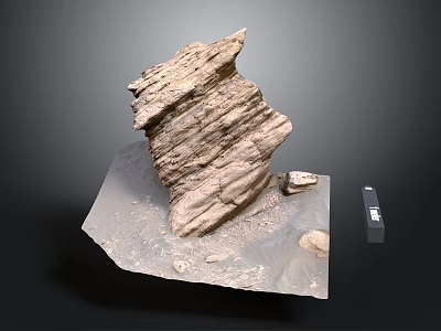 Detailed 3D Rock Model Display With Textured Base Small Stones And Label 3d model