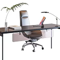 Modern Office Desk With Laptop Desk Lamp Green Plant Books And Ergonomic Chair