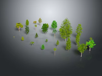 Diverse Green Plants Collection Featuring Different Tree Sizes And Types 3d model