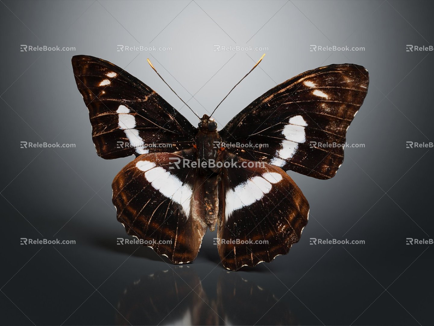 Modern Butterfly Colored Butterfly Tabby Butterfly Leaf Butterfly 3d model