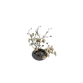 Elegant Silver Vase With White Magnolia Flowers And Green Branches