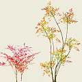 Vibrant Red Pink and Yellow Green Shrub Leaves on Light Background