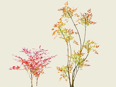Vibrant Red Pink and Yellow Green Shrub Leaves on Light Background 3d model