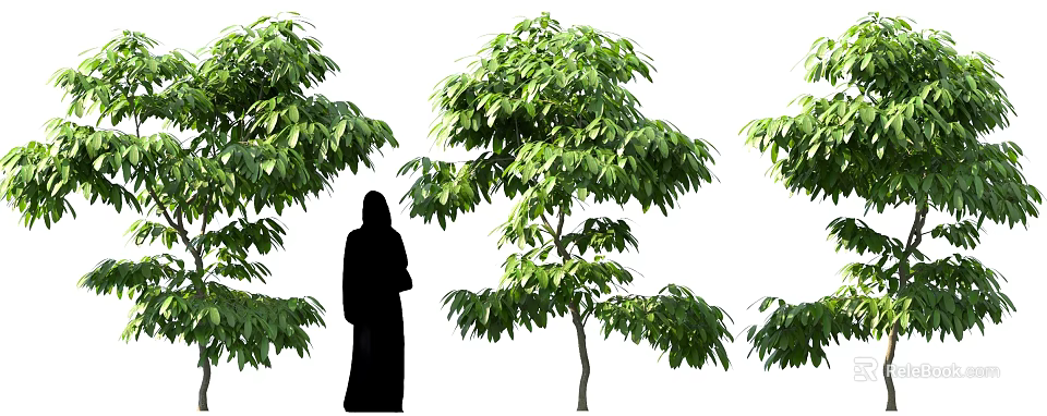 Lush Green Shrubs in Natural Outdoor Setting With Standing Silhouette Figure 3d model 