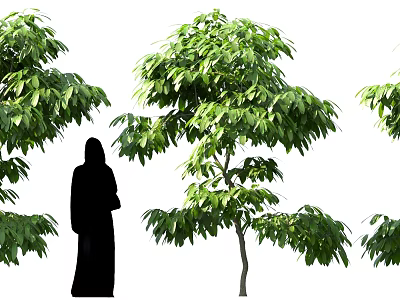 Lush Green Shrubs in Natural Outdoor Setting With Standing Silhouette Figure 3d model