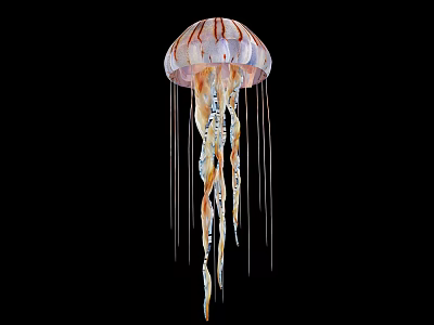 modern jellyfish 3d model