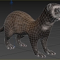 Modern Ferret Animal Creatures 3d model