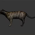 Detailed 3D Model of Tabby Cat in Standing Pose on Gray Background