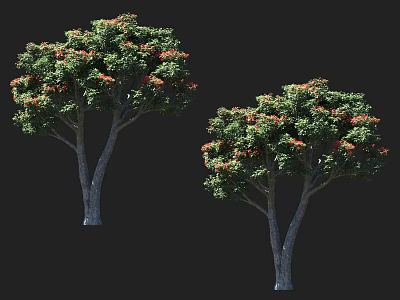 Two Arbor Trees With Green Leaves And Red Flowers Against Black Background 3d model