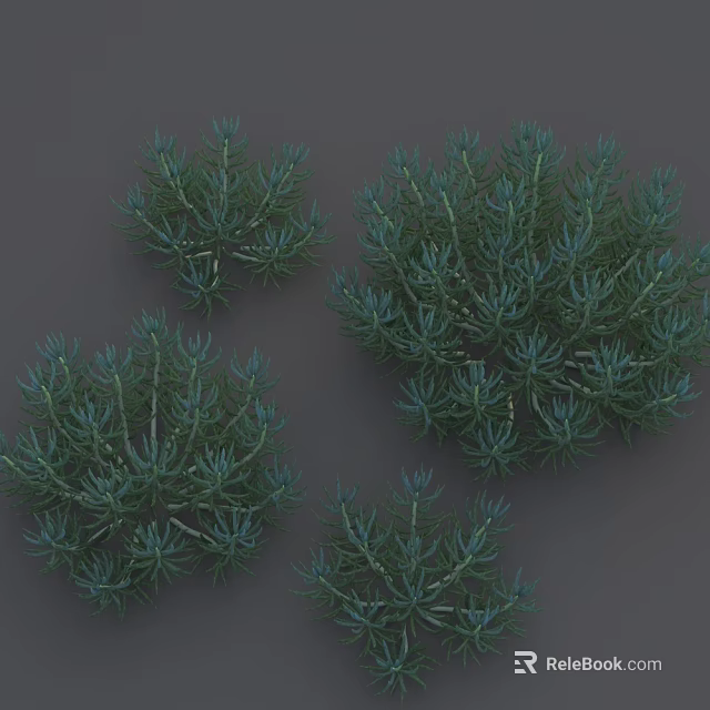 Lush Green Evergreen Plants With Needle Like Foliage In Various Sizes 3d model 