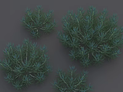Lush Green Evergreen Plants With Needle Like Foliage In Various Sizes 3d model