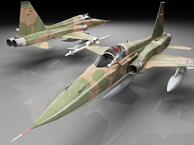 Two Camouflage Military Fighter Jets Model With Detailed Design And Armaments 3d model