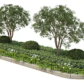 Tree Pool 3d model