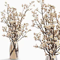 Elegant Glass Vase With Natural Branches And White Flowers For Home Decor
