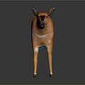 Realistic 3D Animal Model With Orange Fur White Stripes Standing On Reflective Surface