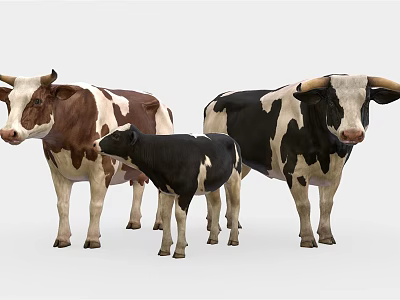 Modern Cow 3d model