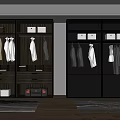 Modern Wardrobe Interior With Glass Doors Hanging Clothes Drawers And Storage Solutions