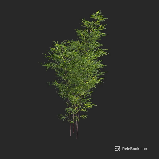 Vibrant Green Bamboo Plant With Multiple Stalks And Lush Leaves 3d model 
