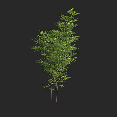 Vibrant Green Bamboo Plant With Multiple Stalks And Lush Leaves 3d model