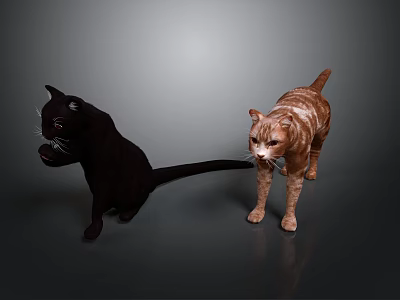 Two Playful Cats Black And Brown White Standing On Gray Background Surface 3d model