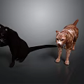 Two Playful Cats Black And Brown White Standing On Gray Background Surface