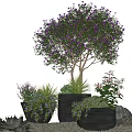 Beautiful Bonsai Potted Plants With Purple Flowering Tree Surrounded By Stones And Gravel